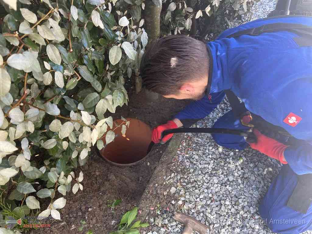 Rioolvliegjes Amstelveen Rioolvliegjes Amstelveen